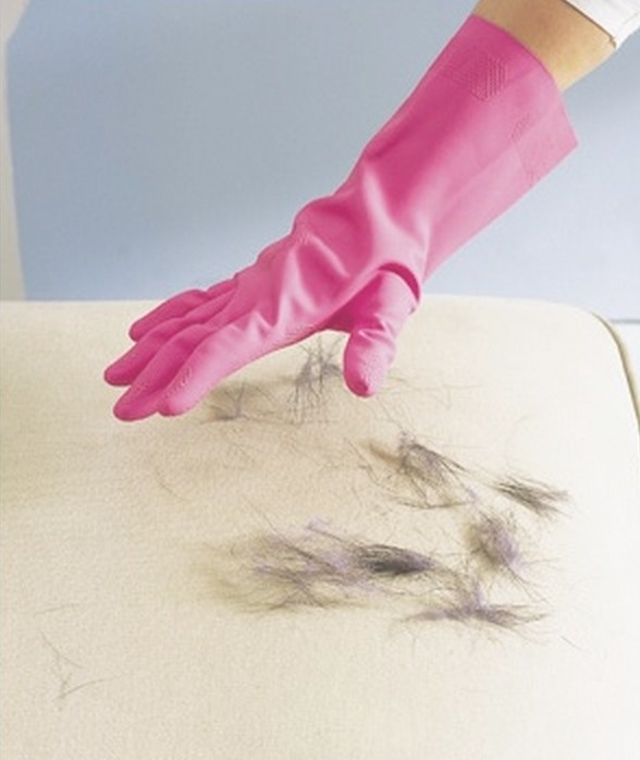 How to remove pet hair from upholstery